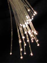 Fiber to the Home