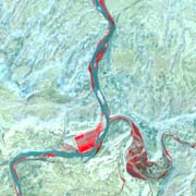 Satellite Tracks Invasive Tamarisk