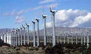 Renewable Energy 50 Per Cent