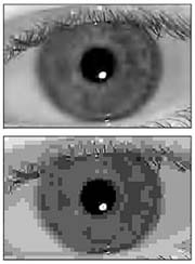 Iris Recognition ID Verfication