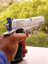 gun