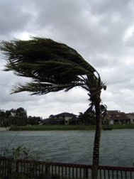 Plagued by hurricanes.