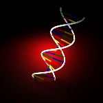 DNA strand