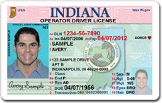 Washington Drivers Licence