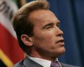 Ca Governor Arnold Schwarzenegger