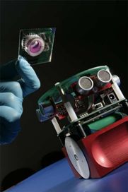 Robot Gordon