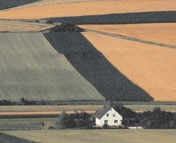 Farmhouse with fields
