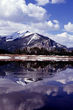 Colorado rockies