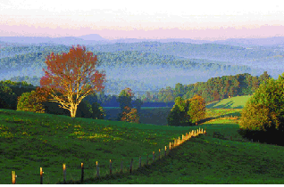 virginia