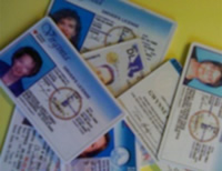 identifications pile of driver's licenses