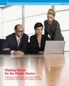 Making Sense for the Public Sector