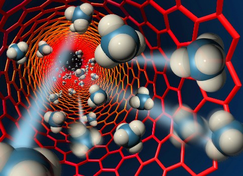 Carbon Nanotube