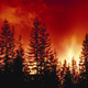 The Latest From Emergency Management