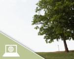 IT-Enabled Worker Mobility and Its Impact on The Environment