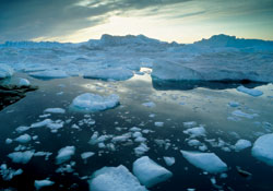 Global Warming