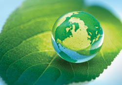 Turning Over a New Leaf
