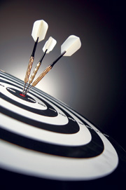 New Project Management Strategies Reduce Troubled Government IT Deployments