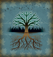 Seeing the Forest and the Trees