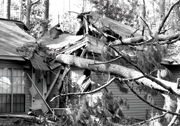 Disaster-Free Planning